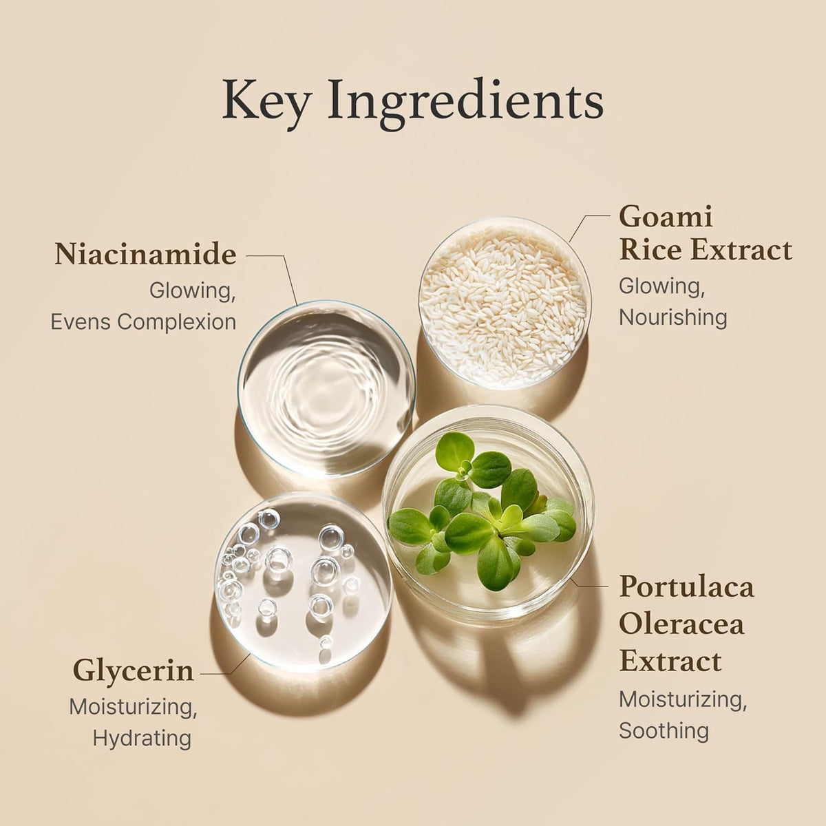 Korven Rice Glow Milky Toner