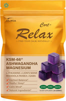 DLNIA Magnesium Glycinate Stress & Cortisol Support Gummies | Calm Focus by Day, Deep Sleep by Night | 17-in-1 with KSM-66® Ashwagandha, L-Theanine & Lion’s Mane